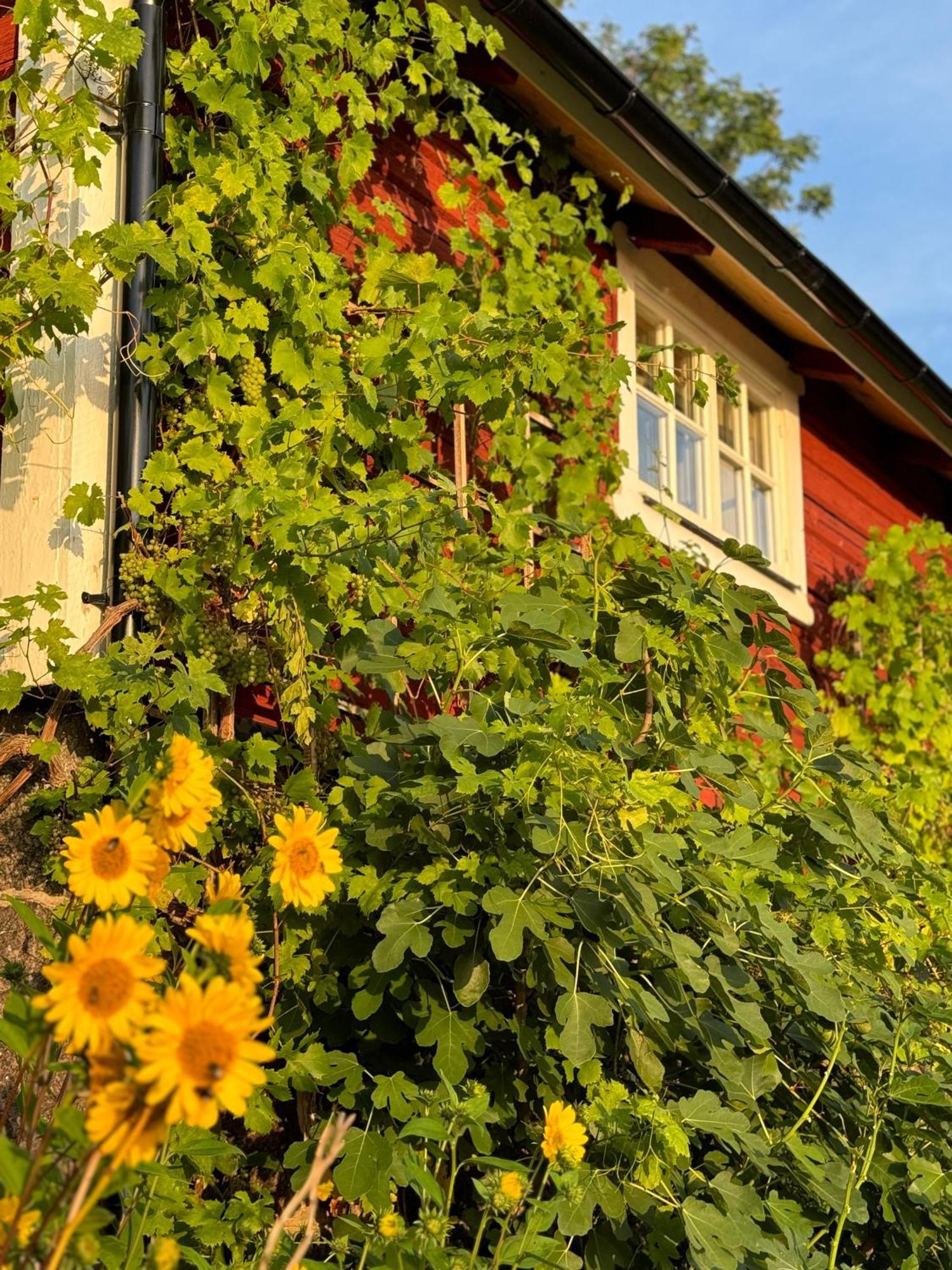 Villa Brunstorpsgard Braenneriet à Huskvarna Extérieur photo